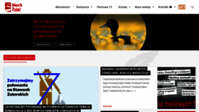 What Niechzyja.pl website looked like in 2021 (3 years ago)