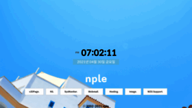 What Nple.com website looked like in 2021 (2 years ago)