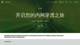 What Natapp.cn website looked like in 2021 (3 years ago)