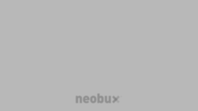 What Neobux.com website looked like in 2021 (2 years ago)