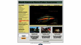 What Nanfa.org website looked like in 2021 (2 years ago)