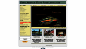 What Nanfa.org website looked like in 2021 (4 years ago)