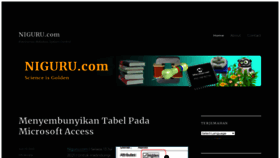 What Niguru.com website looked like in 2021 (2 years ago)