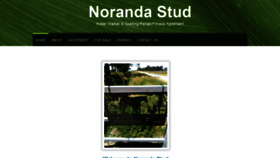What Norandastud.com website looked like in 2021 (2 years ago)