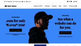What Nestnepal.com website looked like in 2021 (2 years ago)