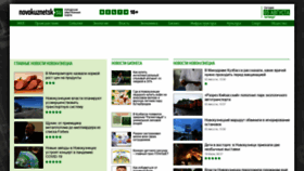 What Novokuznetsk.su website looked like in 2021 (2 years ago)