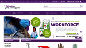 What Nextdaycaresupplies.co.uk website looked like in 2021 (2 years ago)