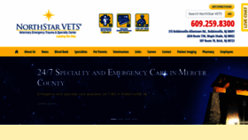 What Northstarvets.com website looked like in 2021 (2 years ago)