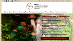 What Npugacheva.com website looked like in 2021 (2 years ago)