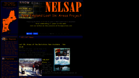 What Nelsap.org website looked like in 2021 (2 years ago)