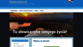 What Niesiolowice.com website looked like in 2022 (2 years ago)
