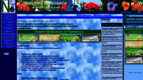 What Nickerie.net website looked like in 2022 (2 years ago)