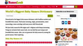 What Nameslook.com website looked like in 2022 (2 years ago)