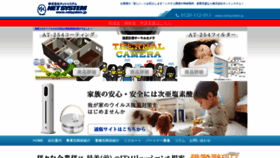 What Netsystem.jp website looked like in 2022 (2 years ago)