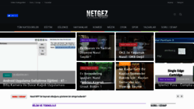 What Netgez.com website looked like in 2022 (1 year ago)