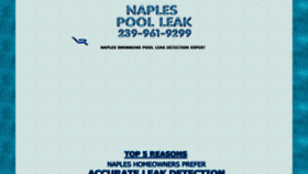 What Naplespoolleak.com website looked like in 2022 (1 year ago)