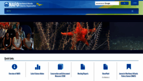 What Nafo.int website looked like in 2022 (2 years ago)