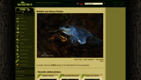 What Naturephoto-cz.com website looked like in 2022 (1 year ago)