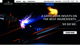 What Napoleongrills.com website looked like in 2022 (1 year ago)