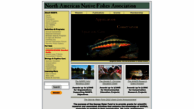 What Nanfa.org website looked like in 2022 (1 year ago)