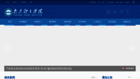 What Nipes.cn website looked like in 2022 (4 years ago)