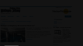 What Ntz.de website looked like in 2022 (1 year ago)