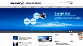 What Netchem.cn website looked like in 2022 (1 year ago)