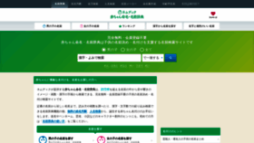 What Namedic.jp website looked like in 2022 (1 year ago)