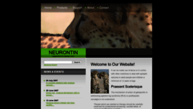 What Neurontintabs.com website looked like in 2022 (1 year ago)