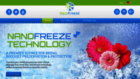 What Nano-freeze.com website looked like in 2022 (1 year ago)
