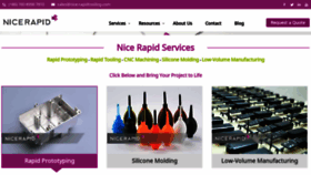 What Nicerapid.com website looked like in 2023 (1 year ago)