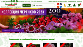 What Ncsemena.ru website looked like in 2023 (1 year ago)