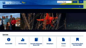 What Nafo.int website looked like in 2023 (2 years ago)