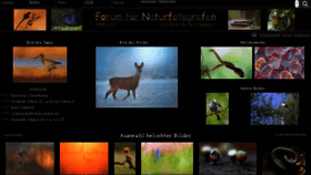 What Naturfotografen-forum.de website looked like in 2023 (1 year ago)