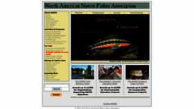 What Nanfa.org website looked like in 2023 (2 years ago)