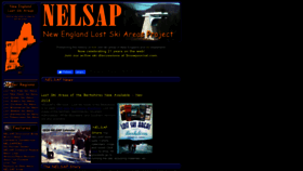 What Nelsap.org website looked like in 2023 (1 year ago)