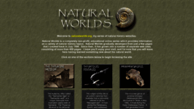 What Naturalworlds.org website looked like in 2023 (1 year ago)