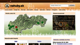 What Nahuby.sk website looked like in 2023 (1 year ago)