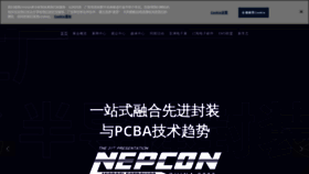 What Nepconchina.com website looked like in 2023 (1 year ago)