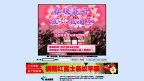 What Newsmth.net website looked like in 2023 (2 years ago)