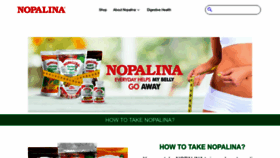 What Nopalina.com website looked like in 2023 (1 year ago)