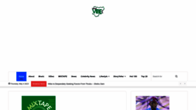 What Naijavibe.com.ng website looked like in 2023 (This year)