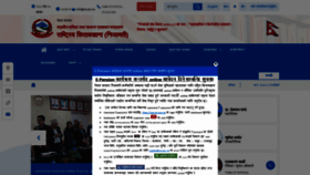 What Nijamati.pis.gov.np website looked like in 2023 (This year)