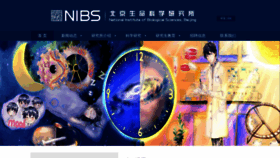 What Nibs.ac.cn website looked like in 2023 (This year)