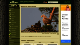What Naturephoto-cz.com website looked like in 2023 (This year)