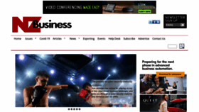 What Nzbusiness.co.nz website looked like in 2023 (This year)