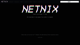 What Netnix.tv website looked like in 2023 (This year)