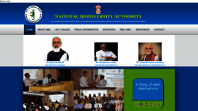 What Nbaindia.org website looked like in 2023 (This year)