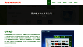 What Nanxutech.com website looked like in 2023 (This year)