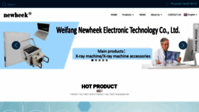 What Newheekxray.com website looked like in 2023 (This year)
